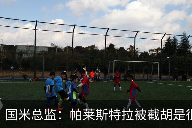 国米总监：帕莱斯特拉被截胡是很正常的事 我们与英超有经济差距